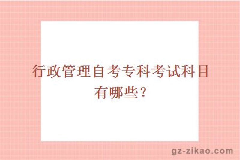 如何高效备考自学考试？工具推荐大比拼
